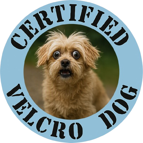 Maltese Certified Velcro Dog T-Shirt — Cute Pet Photo Tee for Dog Lovers