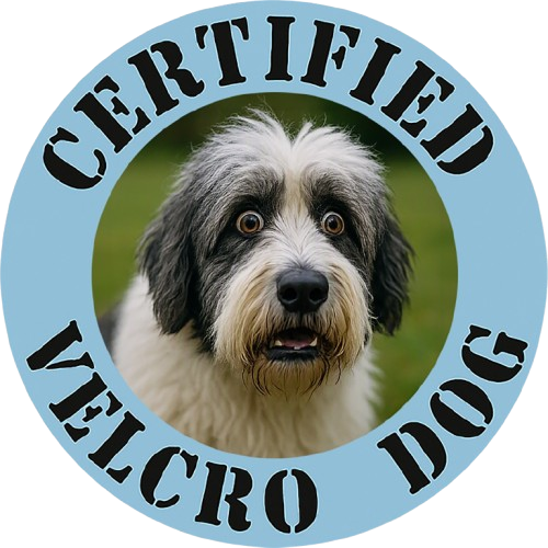 Old English Sheepdog Certified Velcro Dog T‑Shirt — Funny Pet Lover Tee