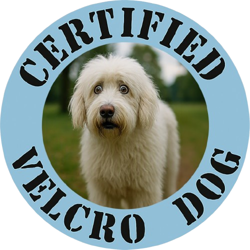 Old English Sheepdog Certified Velcro Dog T-Shirt — Funny Dog Lover Tee