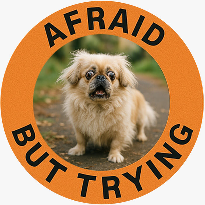 Pekingese Afraid But Trying Tee - Cute Motivational Porg Shirt