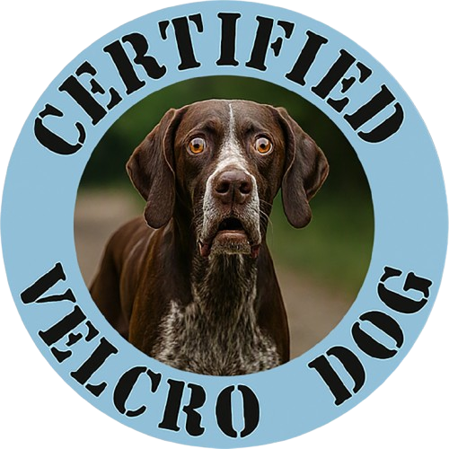 Pointer Certified Velcro Dog T-Shirt