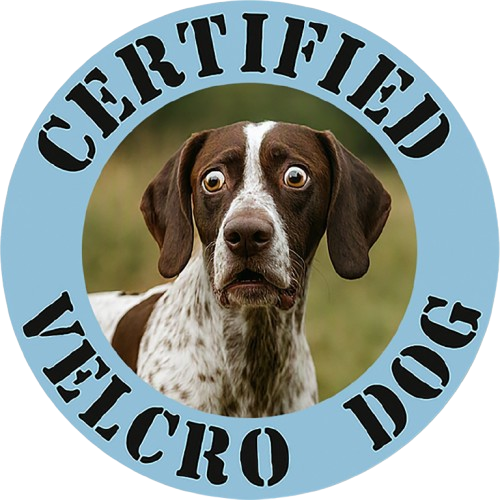 Pointer Certified Velcro Dog T‑Shirt – Funny Dog Owner Tee