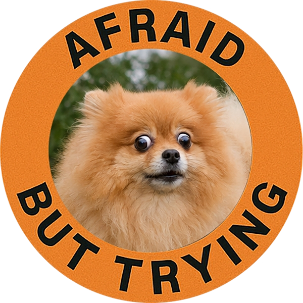 T-Shirt — "Afraid But Trying" Pomeranian Motivational Tee