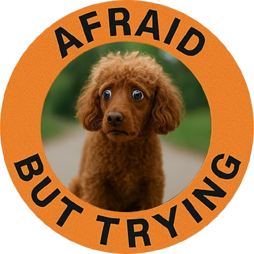 Poodle Afraid But Trying Tee — Cute Puppy Motivational Graphic T-Shirt