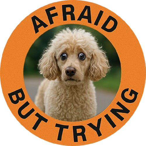 Afraid But Trying Poodle Tee — Cute Encouragement Graphic T-Shirt