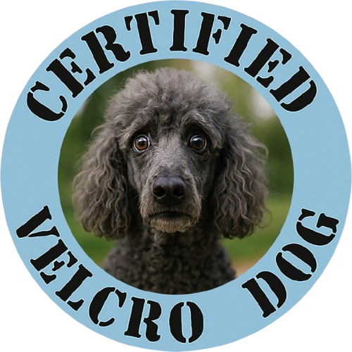 Poodle Certified Velcro Dog T-Shirt — Funny Pet Owner Tee
