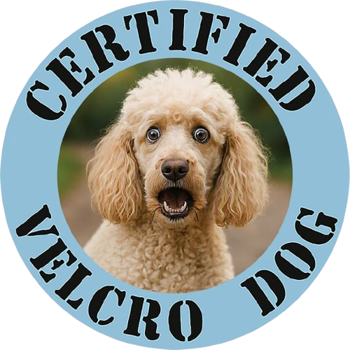 Poodle Certified Velcro Dog T‑Shirt — Funny Dog Lover Tee