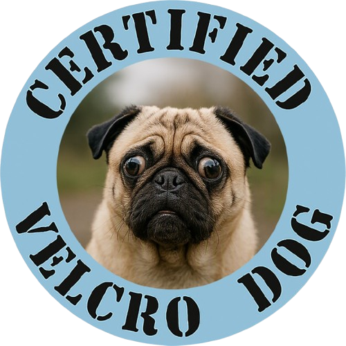 Pug "Certified Velcro Dog" T-Shirt