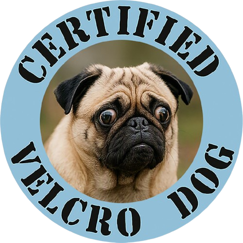 Certified Velcro Dog T‑Shirt — Pug Lover Funny Pet Tee