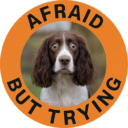 Afraid But Trying Tee — Cute Springer Spaniel Motivational Dog T-Shirt