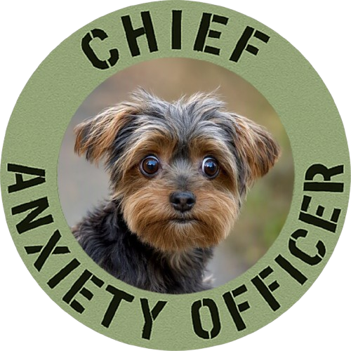 Yorkie Chief Anxiety Officer T-Shirt — Cute Dog Graphic Tee