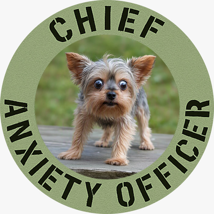 Yorkie Chief Anxiety Officer T-Shirt — Cute Nervous Dog Graphic Tee