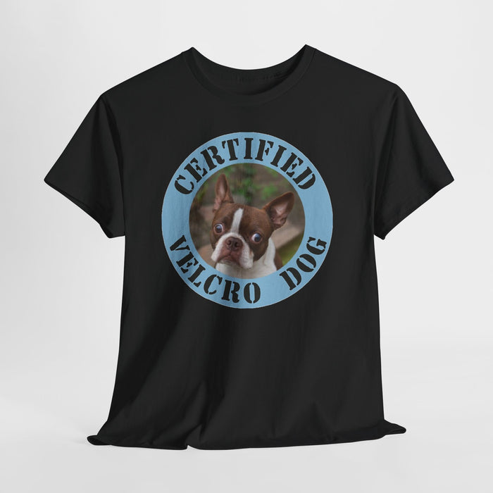 Certified Velcro Dog T-Shirt — Funny Boston Terrier Pet Tee