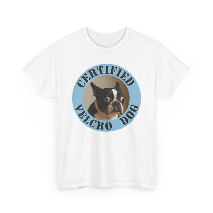 Certified Velcro Dog T‑Shirt — Funny Boston Terrier Pet Tee