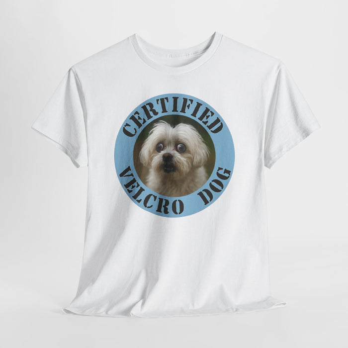 Maltese Certified Velcro Dog T‑Shirt — Funny Pet Lover Tee with Cute Pup Portrait