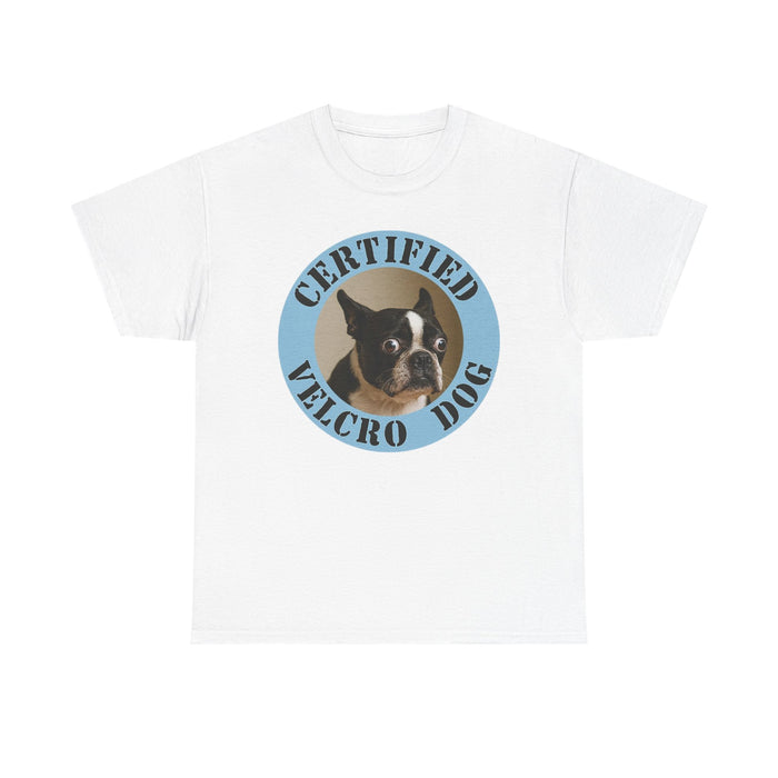 Certified Velcro Dog T‑Shirt — Funny Boston Terrier Pet Tee