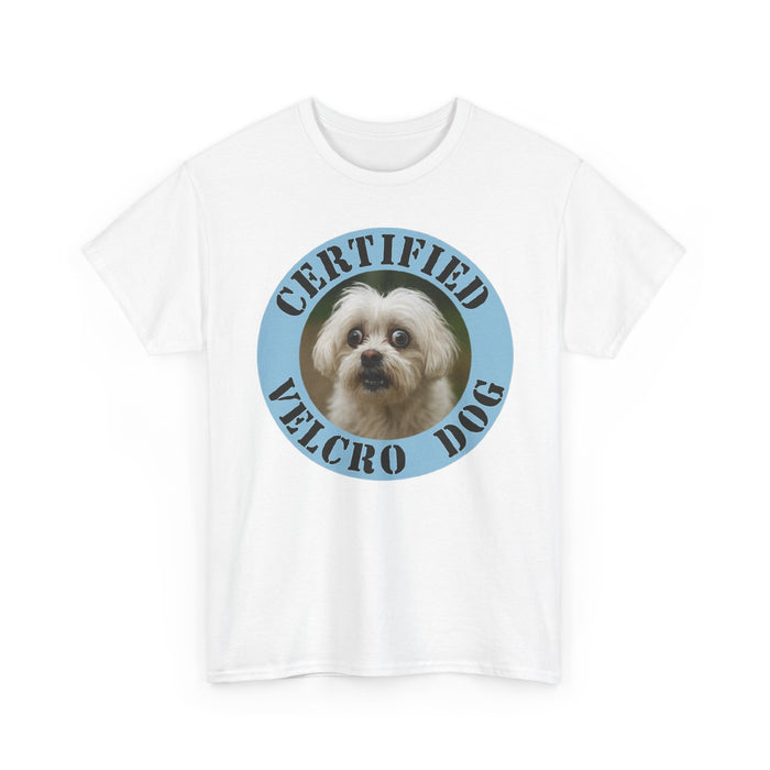 Maltese Certified Velcro Dog T‑Shirt — Funny Pet Lover Tee with Cute Pup Portrait