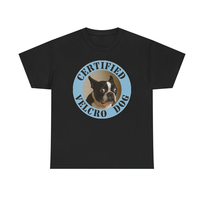 Certified Velcro Dog T‑Shirt — Funny Boston Terrier Pet Tee