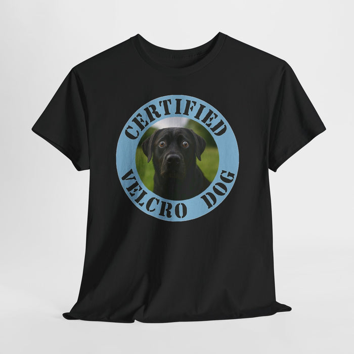 Labrador retriever Certified Velcro Dog T‑Shirt — Funny Black Lab Pet Owner Tee