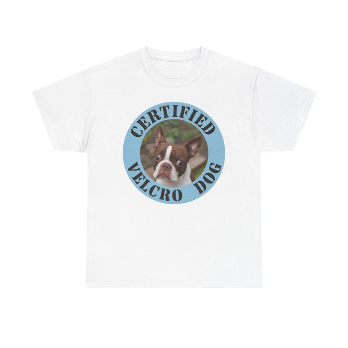 Certified Velcro Dog T-Shirt — Funny Boston Terrier Pet Tee