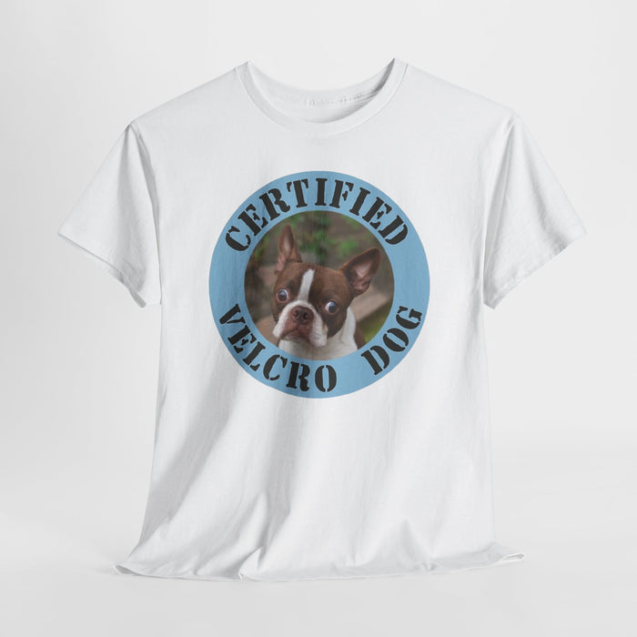Certified Velcro Dog T-Shirt — Funny Boston Terrier Pet Tee