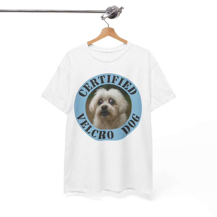 Maltese Certified Velcro Dog T‑Shirt — Funny Pet Lover Tee with Cute Pup Portrait